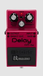 BOSS DM-2W